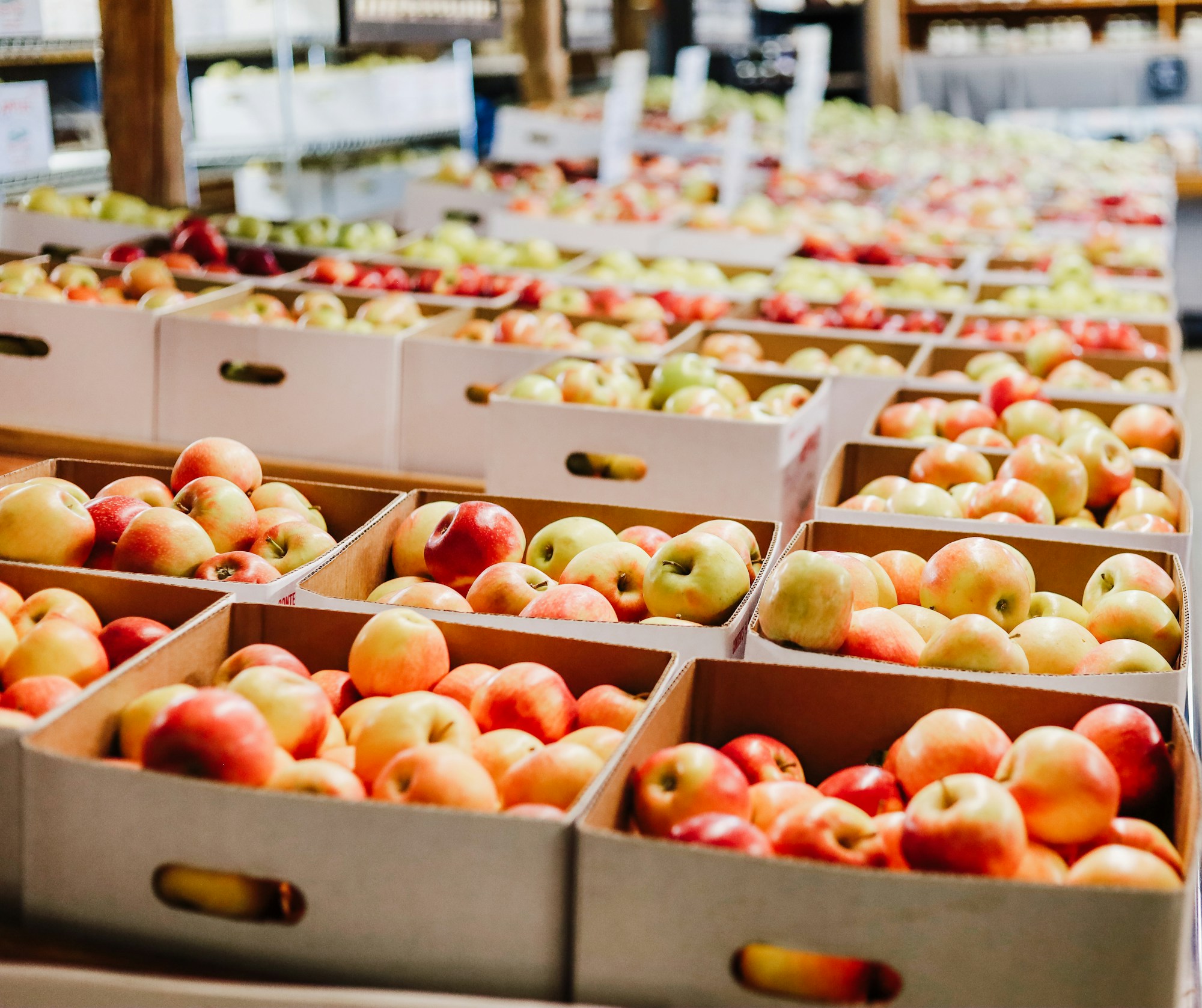 Fresh apples displayed in produce cartons